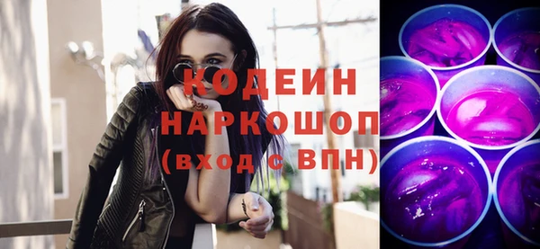 стаф Няндома