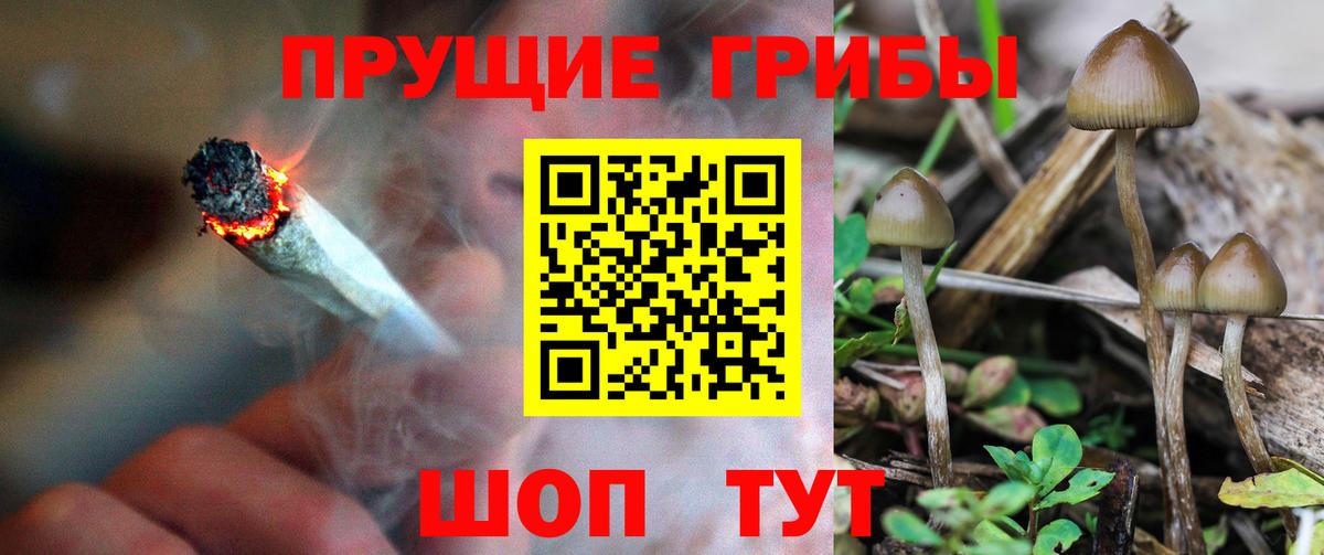 Псилоцибиновые грибы ЛСД  Псилоцибиновые грибы MAGIC MUSHROOMS  Вход с VPN  Ялта 