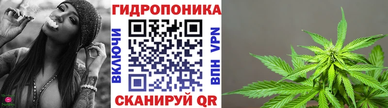Канабис OG Kush  Ялта 